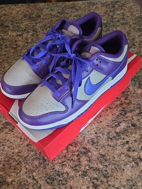NIB Nike Dunk Low Retro Purple, Gray & Blue Low-Top Sneakers M8.5/W10